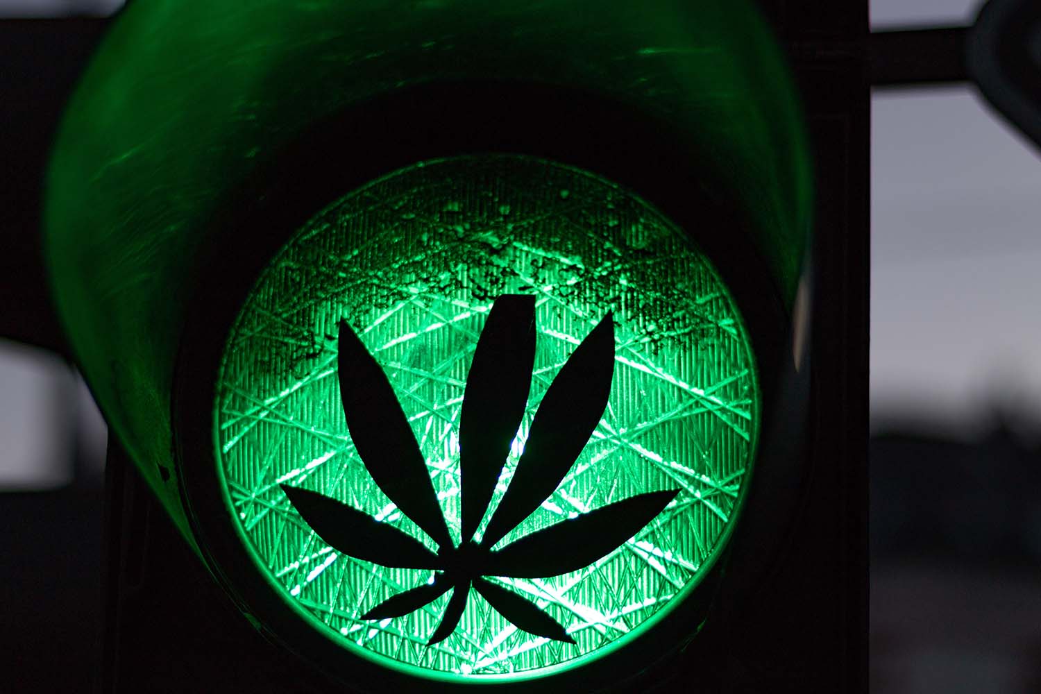 Delta-8 leaf on green road light
