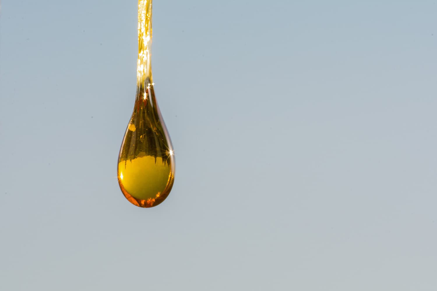 Full spectrum CBD oil on grey background
