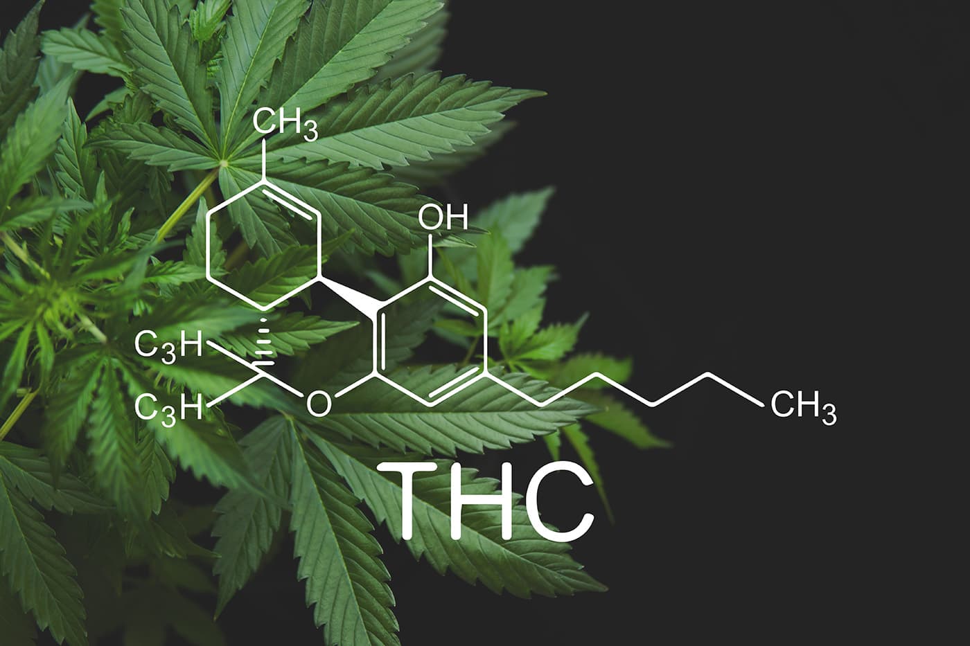 Delta 9 THC plant with delta 9 THC symbol in front of it