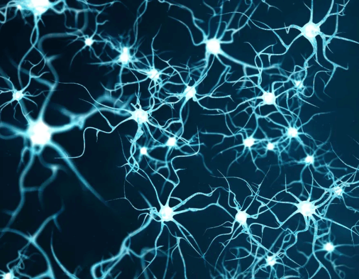 Illustration of neurons firing in brain