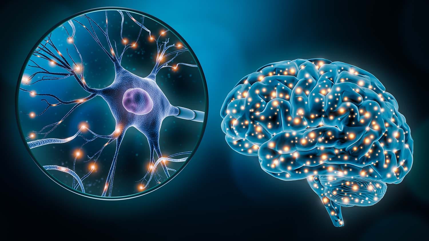 Imagine of brain and neurons to symbolize delta-8