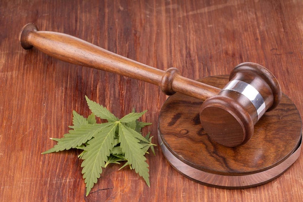 Delta-8 leaf on table next to legal gavel