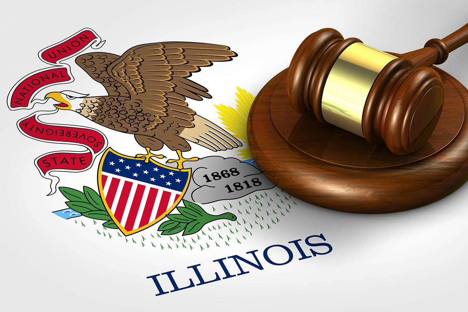 Illinois state flag and legal gavel seperate from federal law