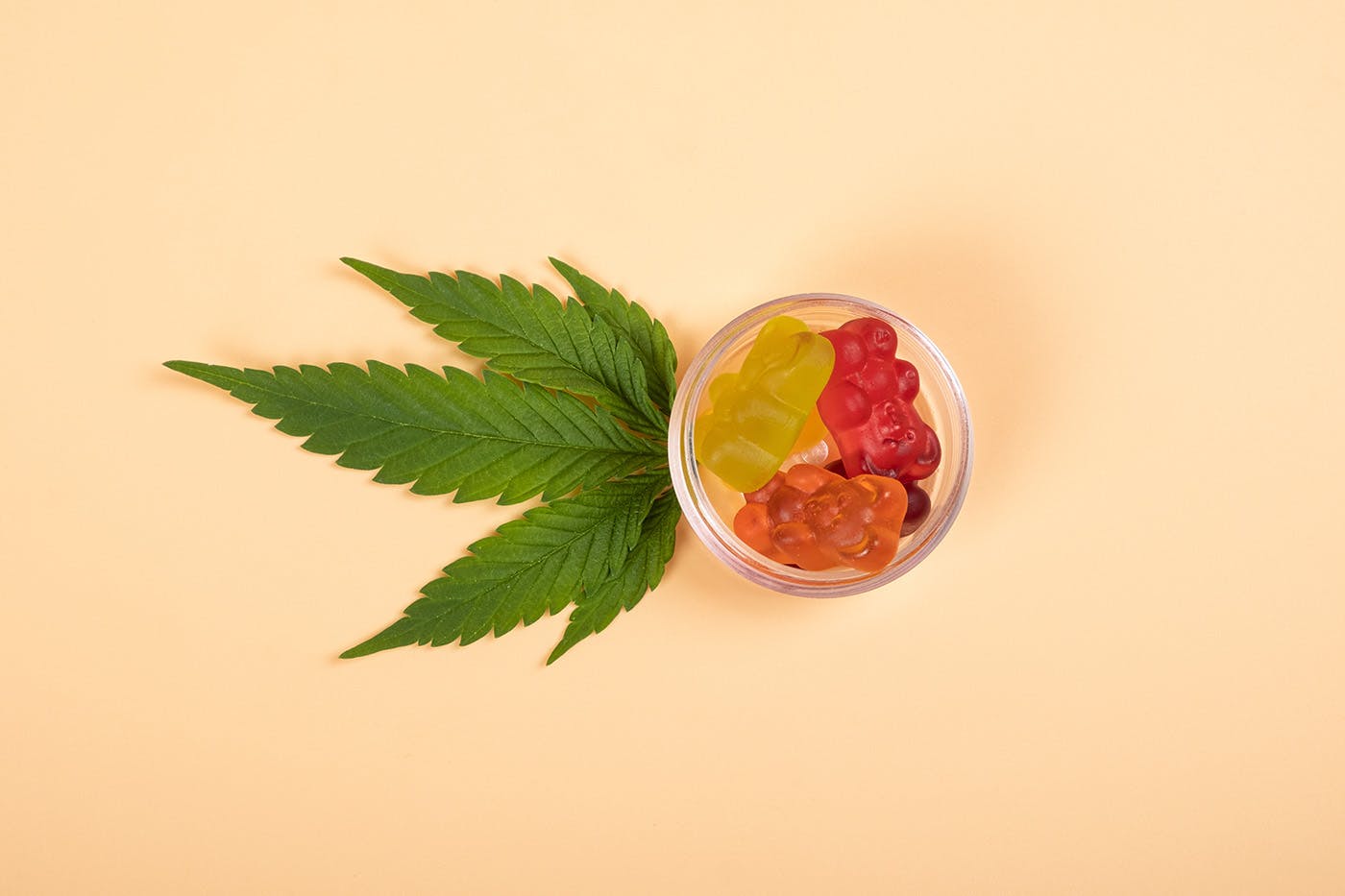 Delta 8 THC edibles in jar on orange background with pot leaf