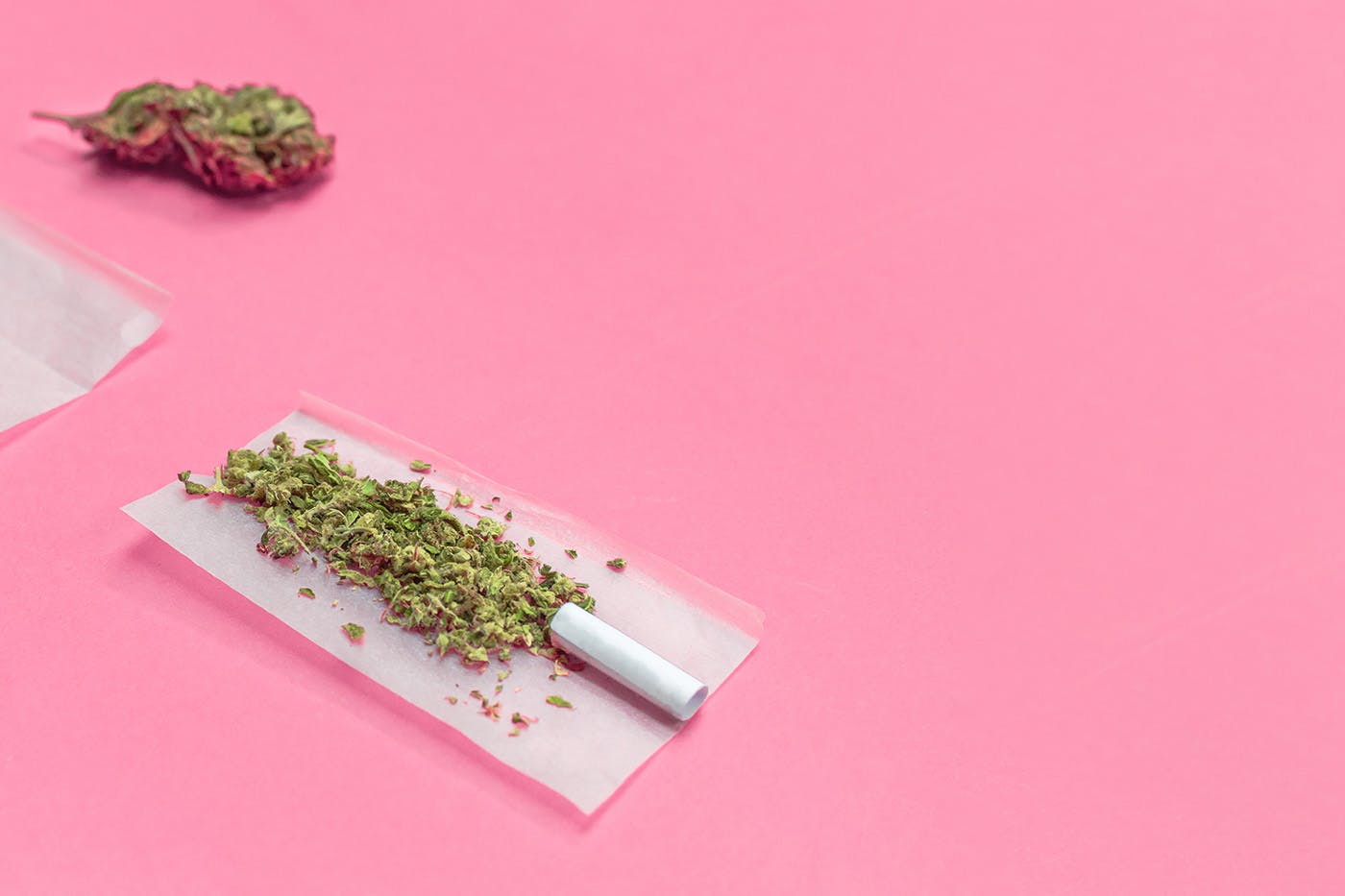 Joint on pink background with weed