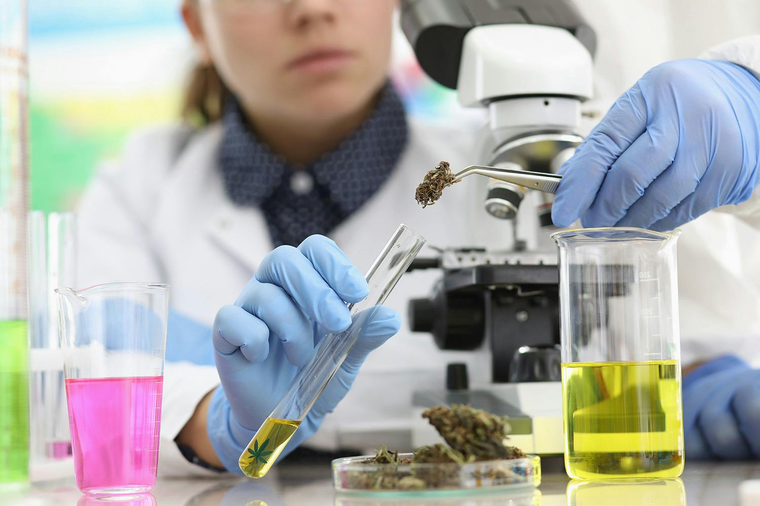Woman testing THC strains in lab environment