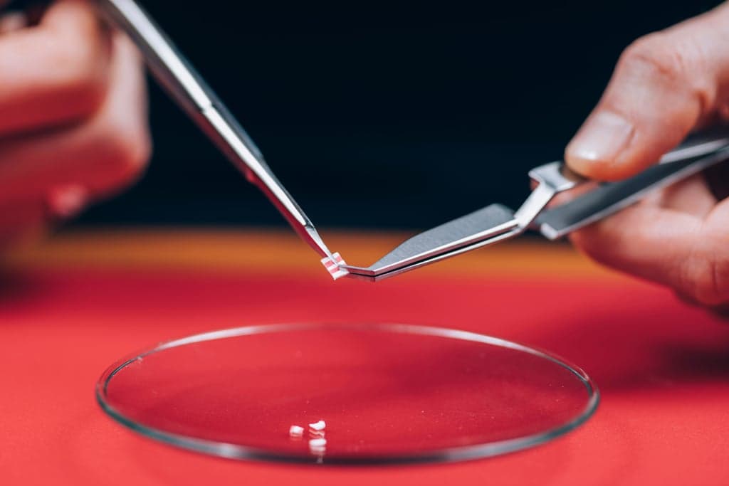 Microdosing: Benefits, Risks, and How to Do It | Delta North